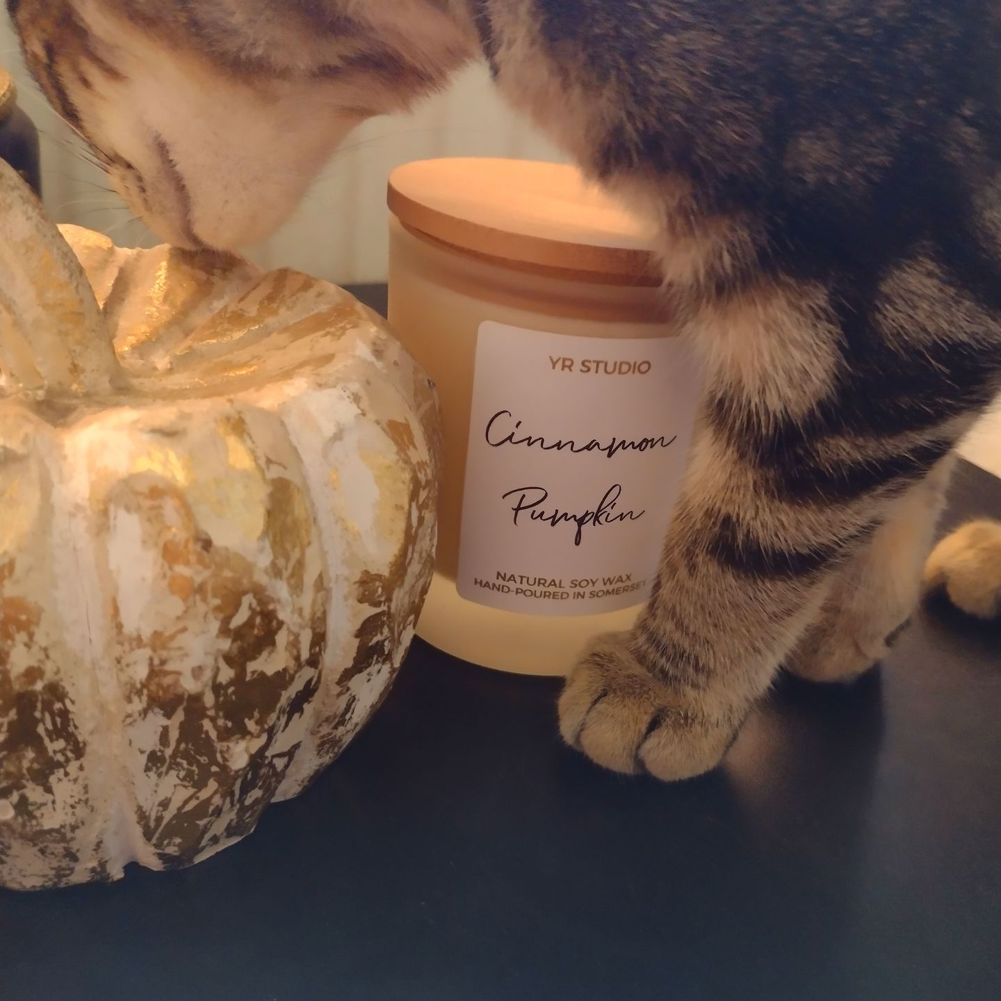 Customer photo review of "Sweater Weather" Cranberry Marmalade & Orange Soy Candle in Amber Jar