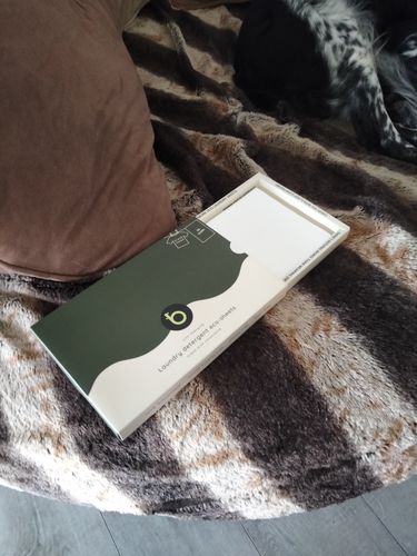 Customer photo review of Laundry Detergent Eco-Sheets™