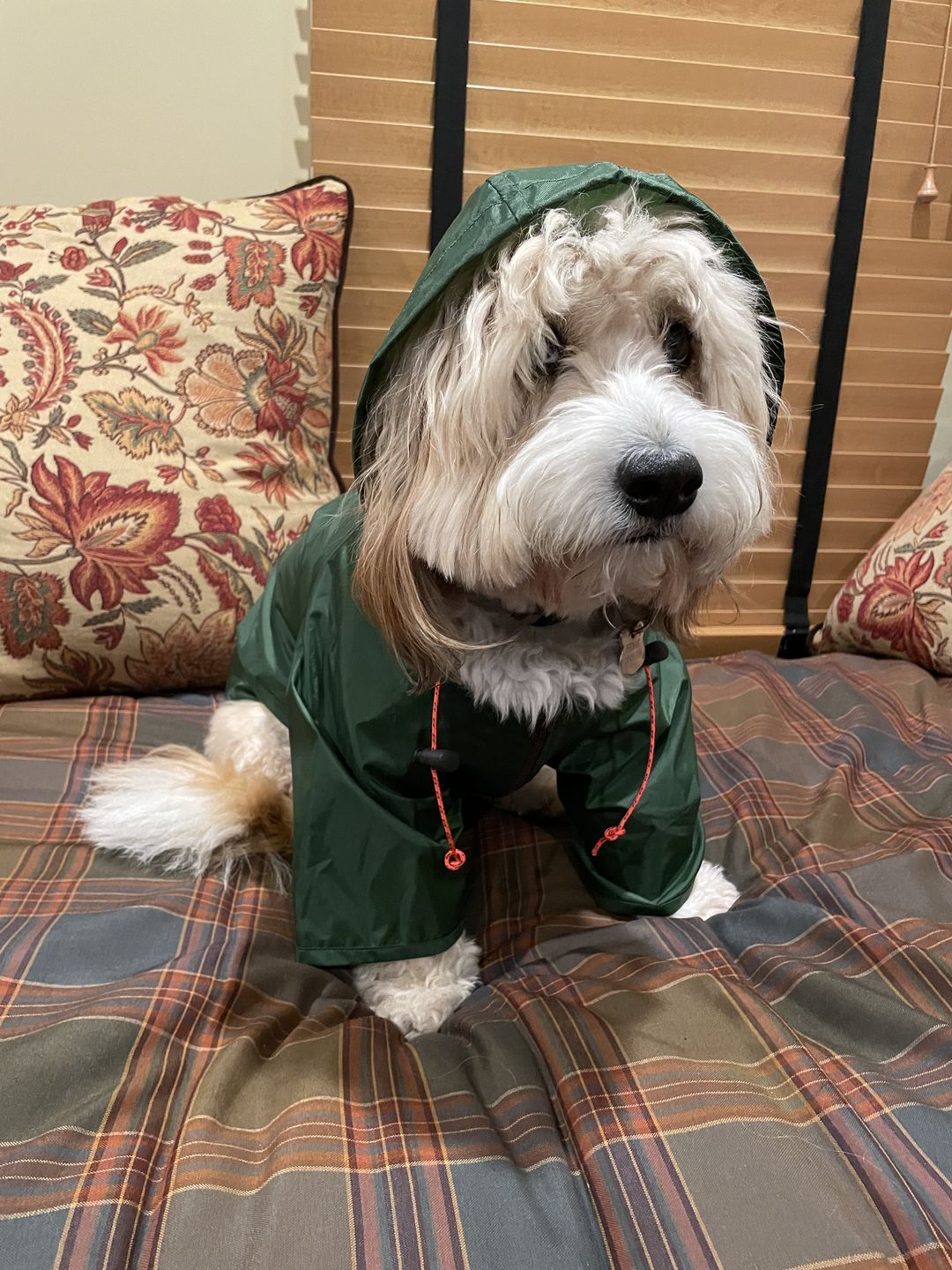 Customer photo review of Nylon Rainbreaker