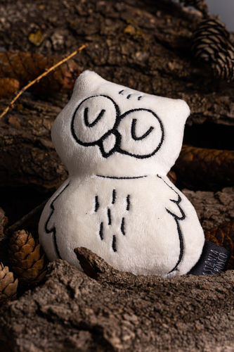 Recensione con foto di un cliente su Gufo 🦉 Tartufo