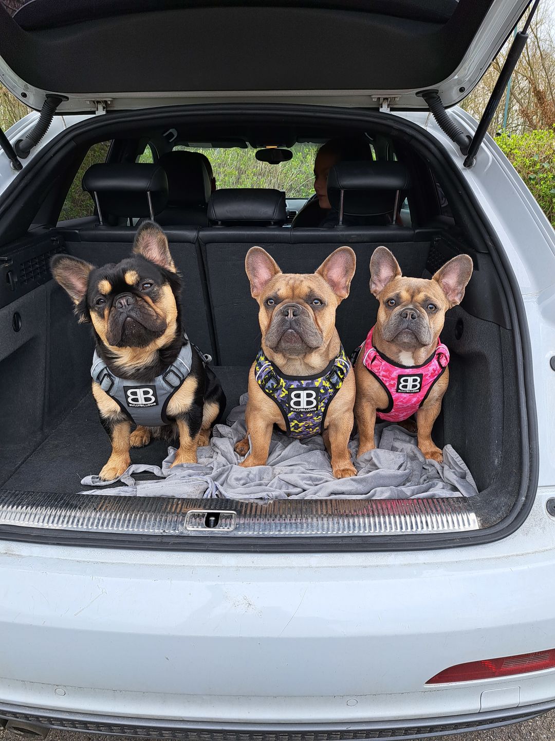 Customer photo review of Premium Comfort Harness | Non Restrictive & Adjustable - Lightning v2.0