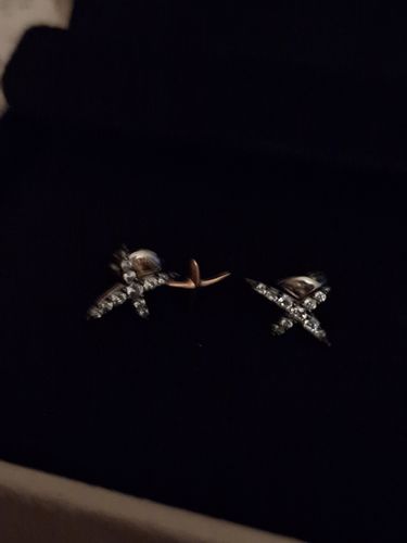 Customer photo review of Mon Paris Silver Earring JDPEPWF80ZC