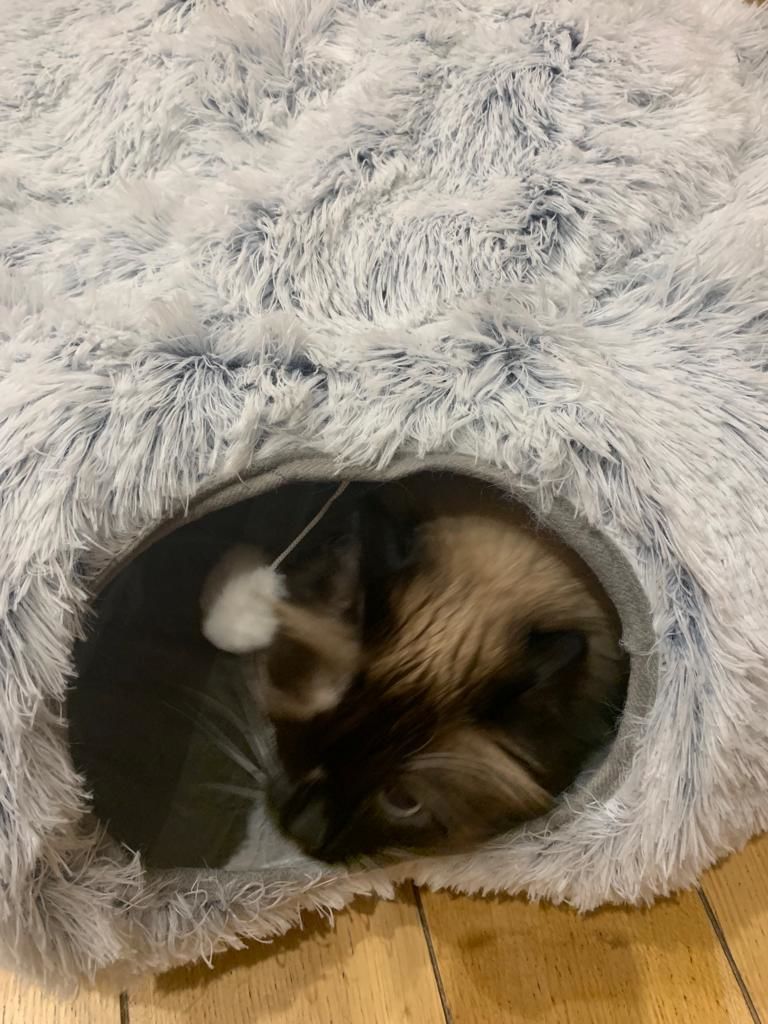 Customer photo review of 2 in 1 Tunnel Bed