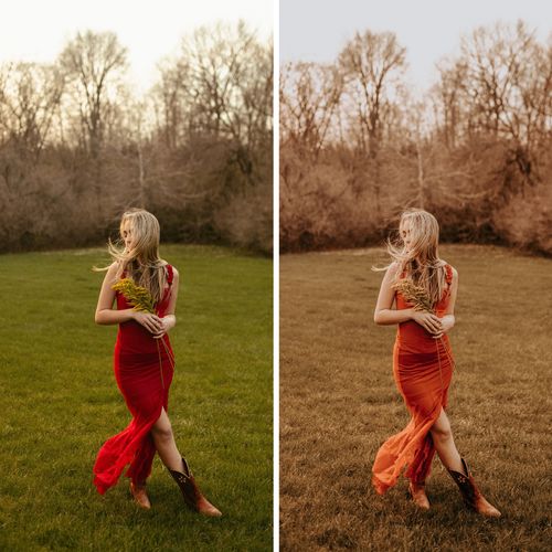 Customer photo review of FALL VIBES II LIGHTROOM PRESETS