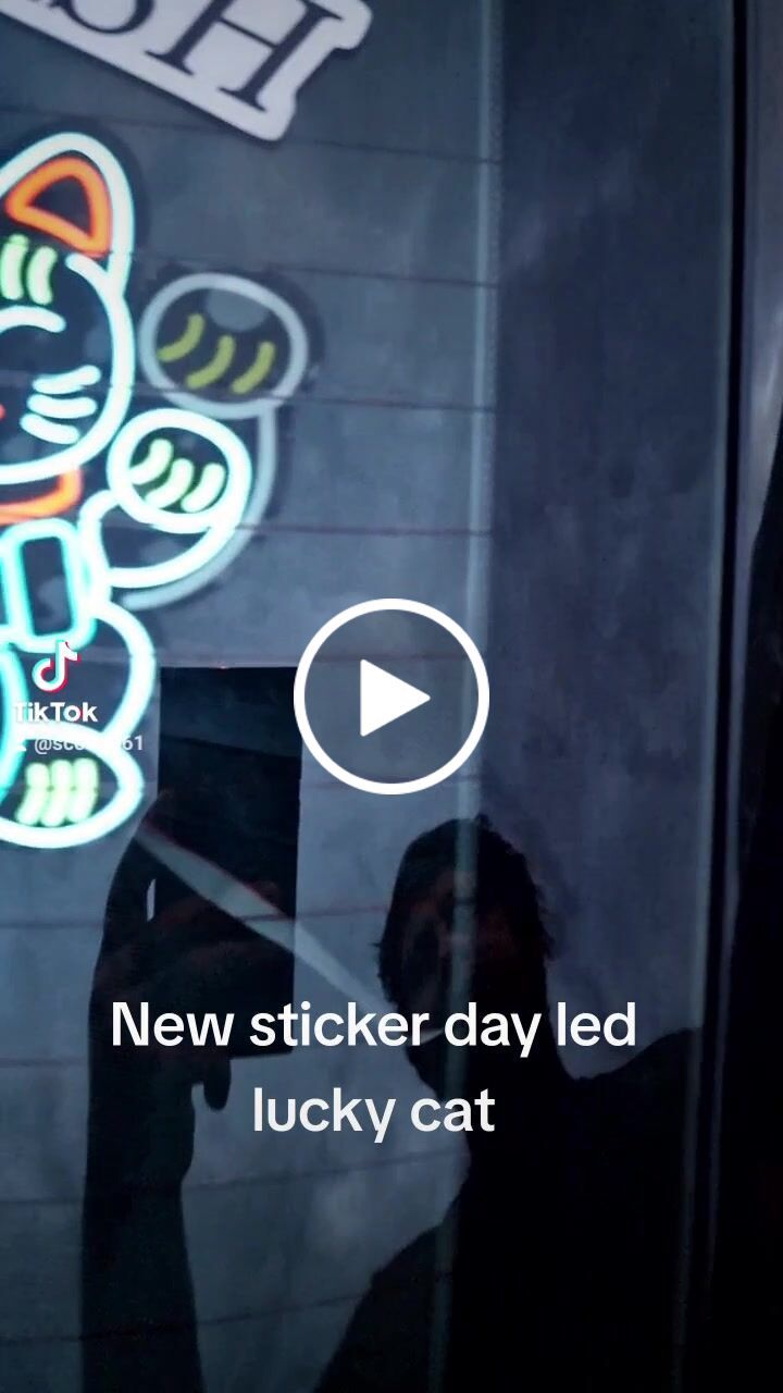 Customer video review of Lucky Cat USB Electric Sticker