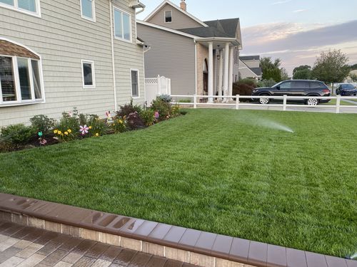 Customer photo review of GCI Turf Cool Blue Grass Seed