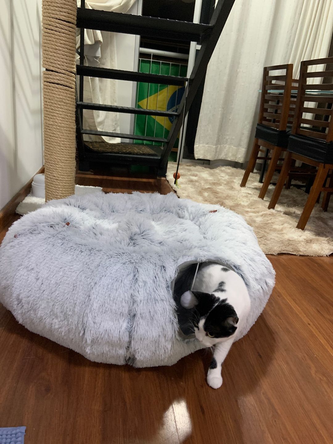 Customer photo review of 2 in 1 Tunnel Bed
