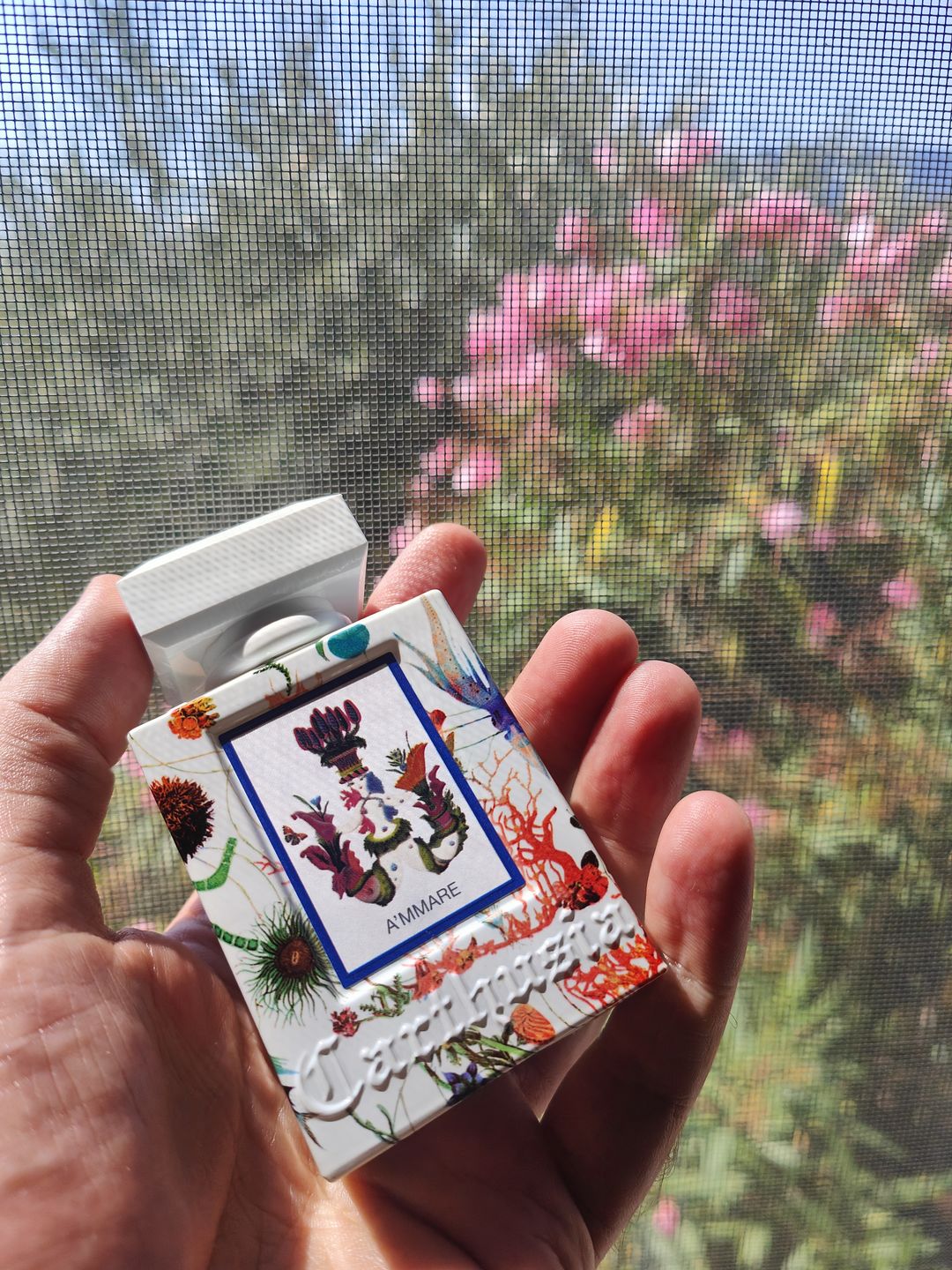 Customer photo review of CARTHUSIA - A'MMARE