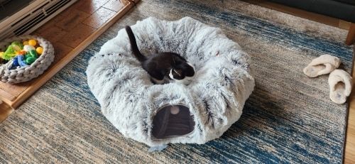 Customer photo review of 2 in 1 Tunnel Bed