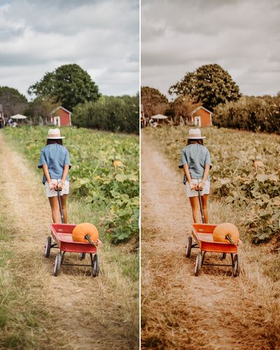 Customer photo review of FALL VIBES II LIGHTROOM PRESETS