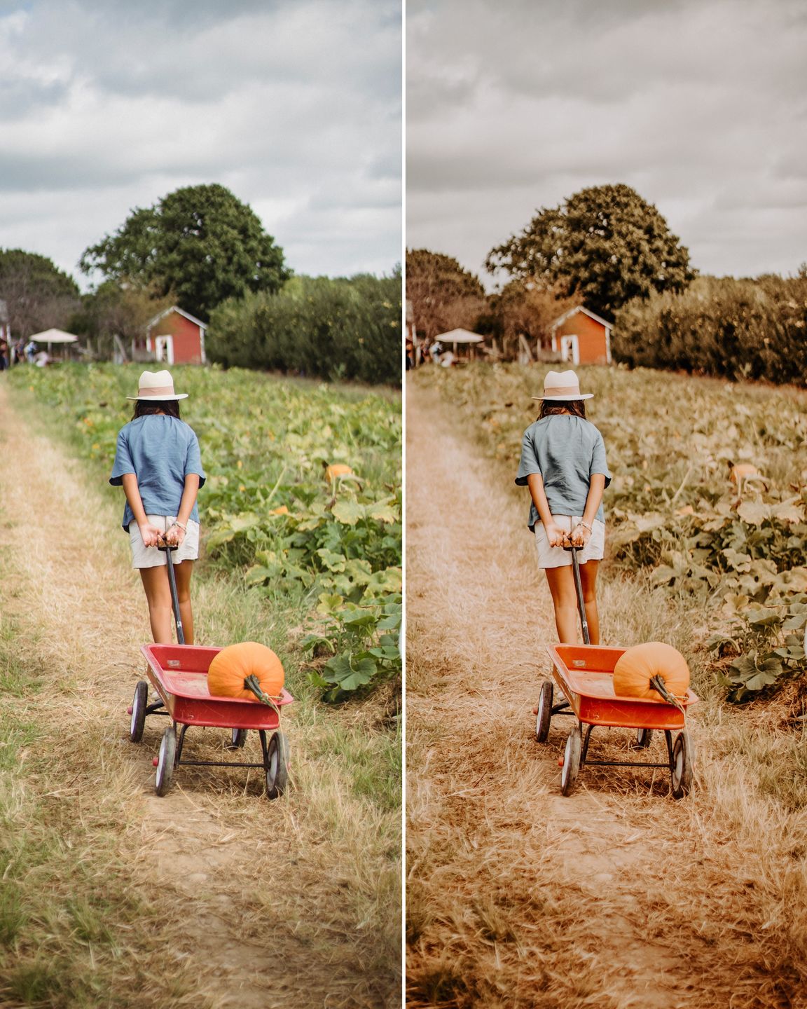 Customer photo review of Fall Vibes II Lightroom Presets