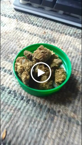 Customer video review of 🍋 👑 Lemon King x 40%HHC