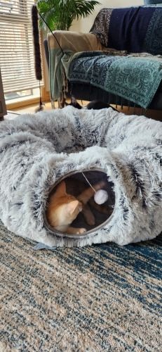 Customer photo review of 2 in 1 Tunnel Bed