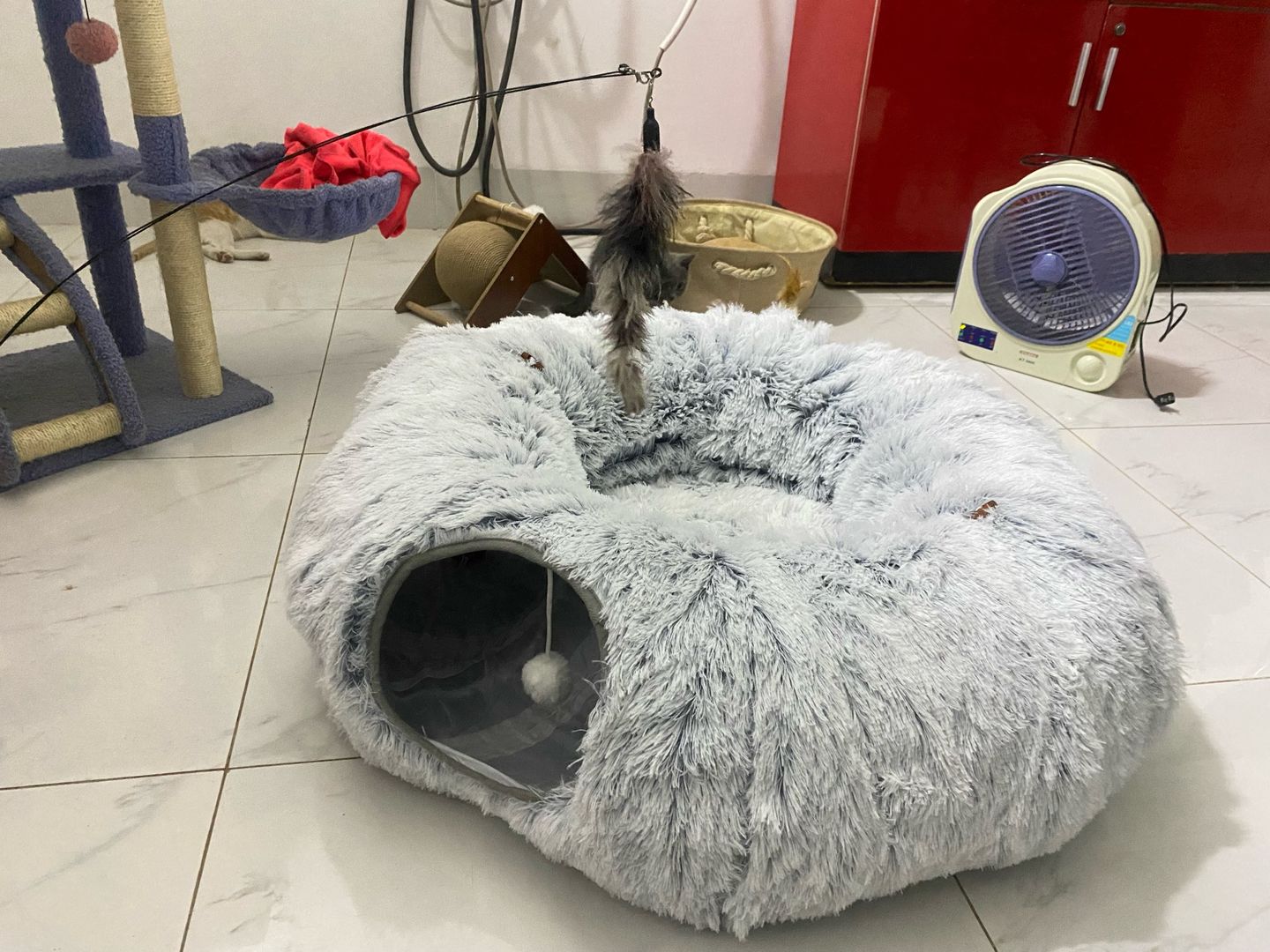Customer photo review of 2 in 1 Tunnel Bed