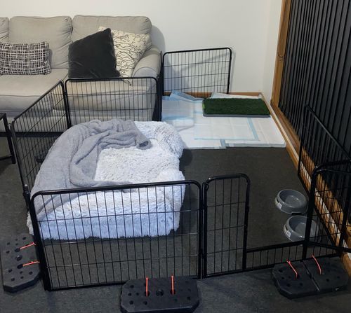Customer photo review of PaWz Pet Orthopaedic Bed