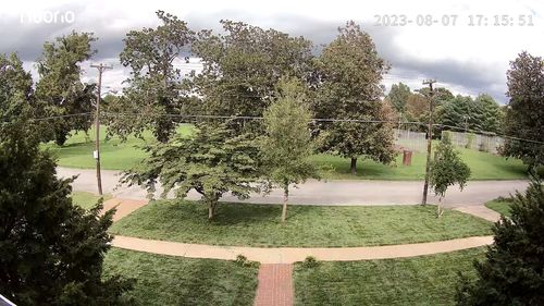 Customer photo review of Heritage G Granular Fungicide