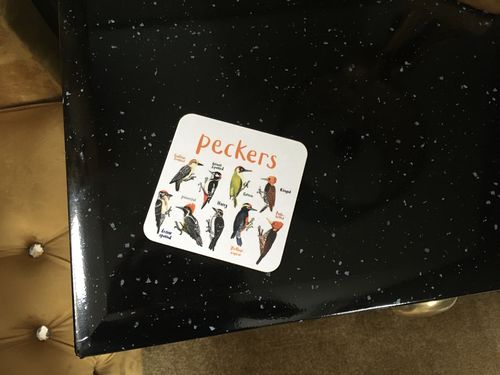 Customer photo review of Tits Bird Coaster