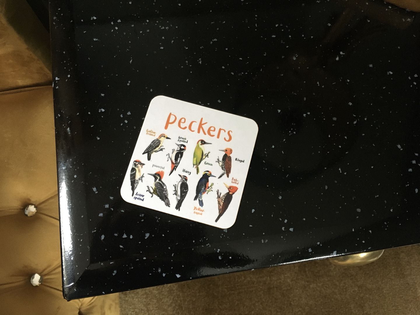 Customer photo review of Tits Bird Coaster