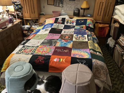 T-shirt quilt with travel, art themes by Loretta from MD