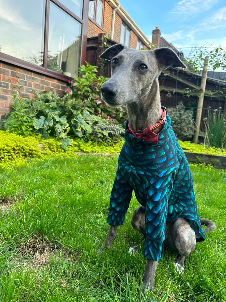 Customer photo review of Dragon Scales French Terry Fabric