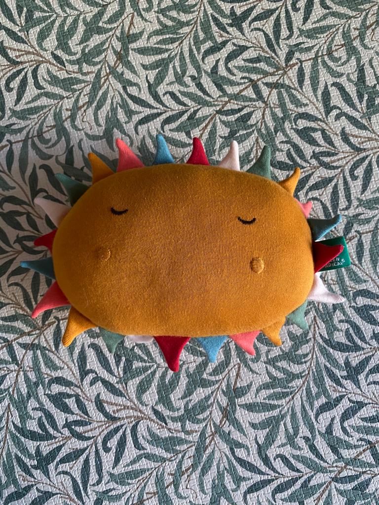 Customer photo review of You Are my Sunshine Organic Soft Toy
