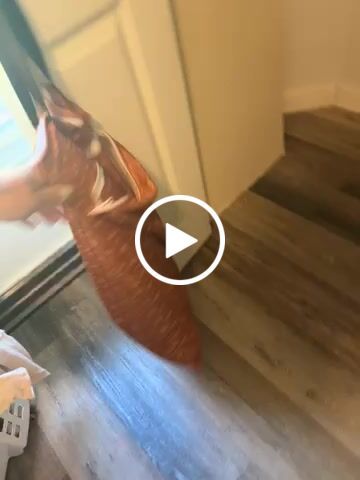 Customer video review of Patterned Large Zipper Hanging Wet Bag, Laundry Bag with Handles