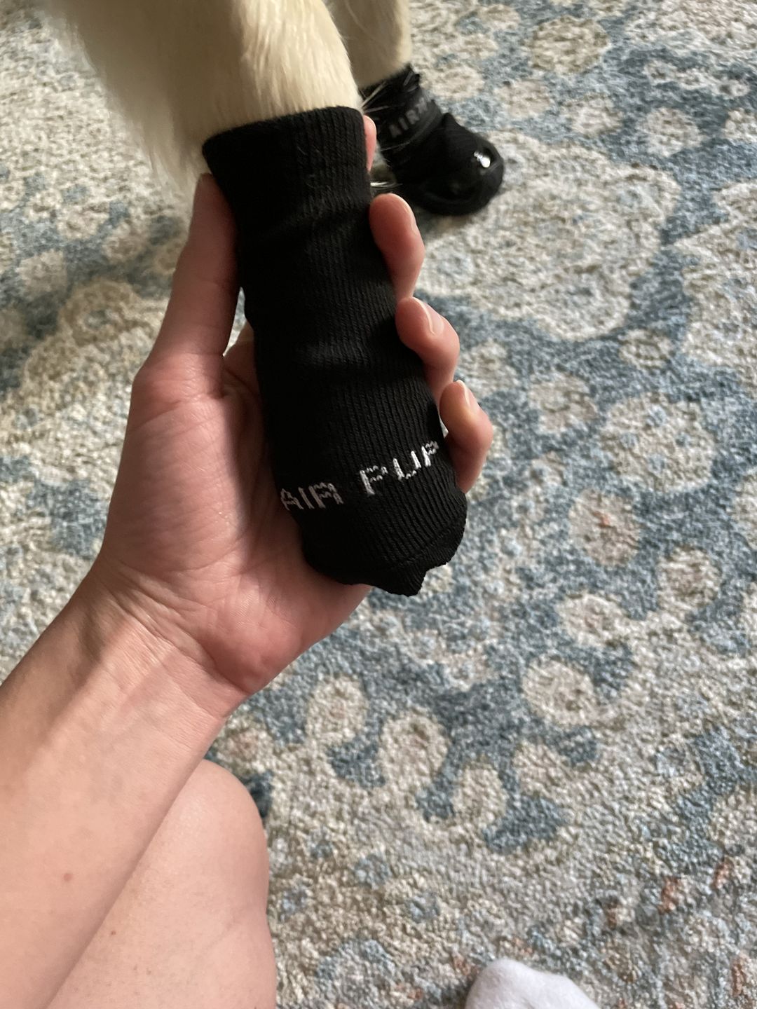 Customer photo review of AIR PUP SOCKS / BOOT LINERS