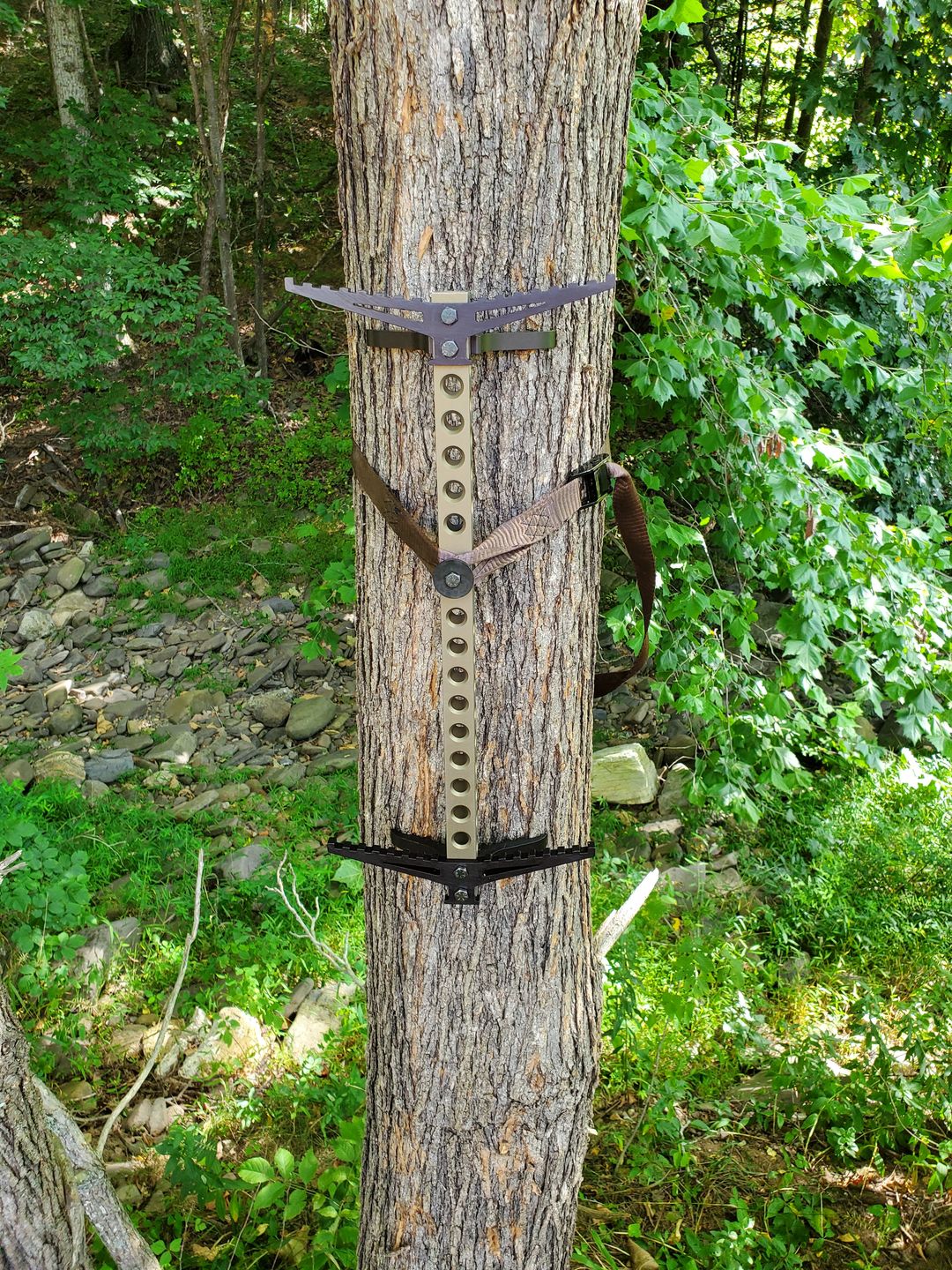 Customer photo review of 20" BEAST GEAR CLIMBING STICK