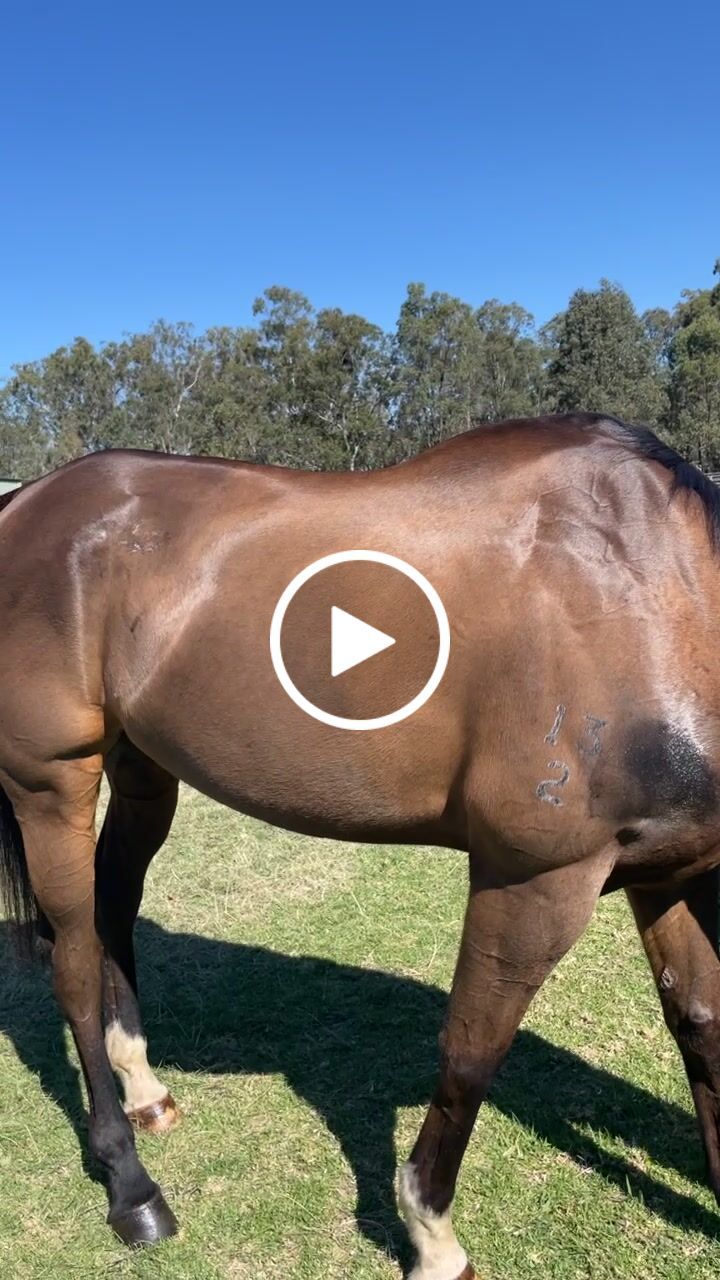 Customer video review of Starter Bundles