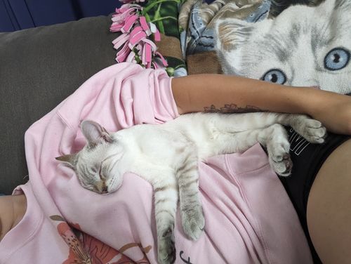 Customer photo review of Be Kind To Yourself (Flowers)