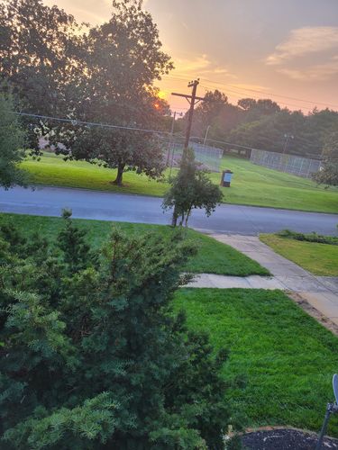 Customer photo review of Protene Performance Fall Fertilizer