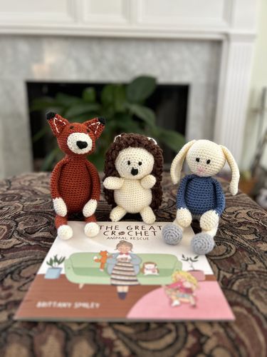 Customer photo review of The Great Crochet Animal Rescue Illustrated Book & Bunny Crochet Pattern