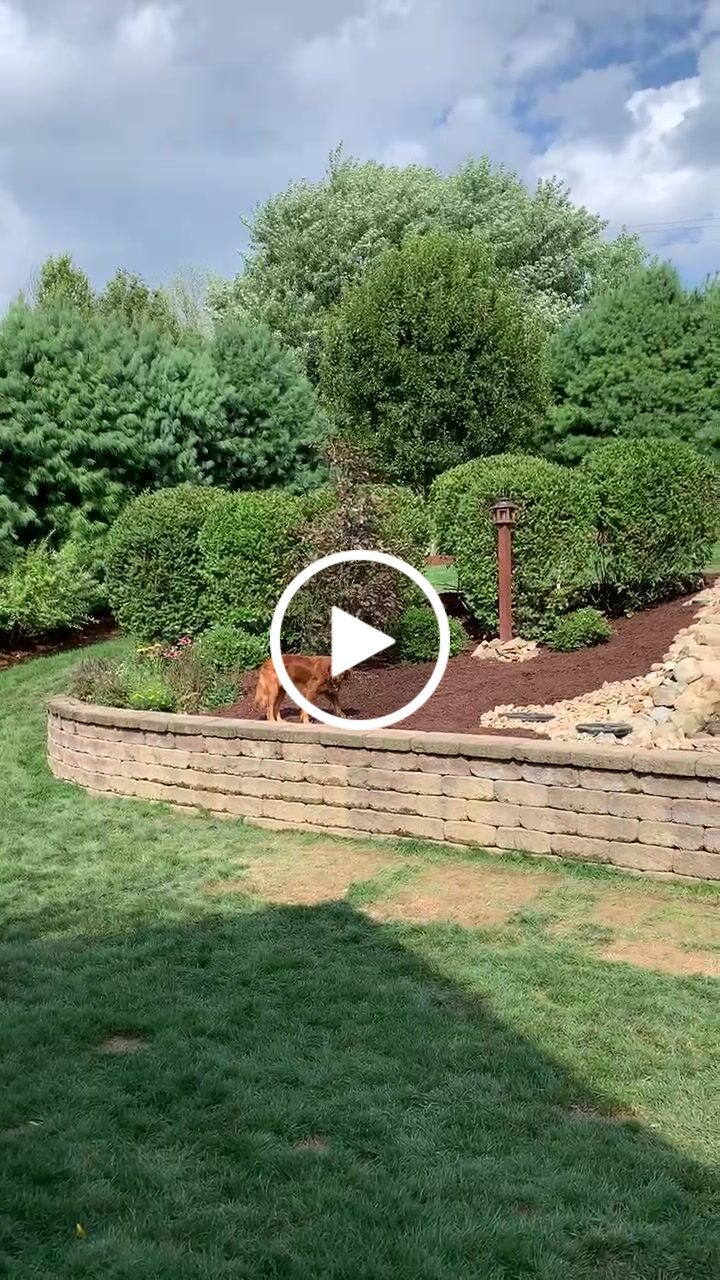Customer video review of Marlin Series Ultimate Medium Pondless Waterfall with 20' Stream Kit
