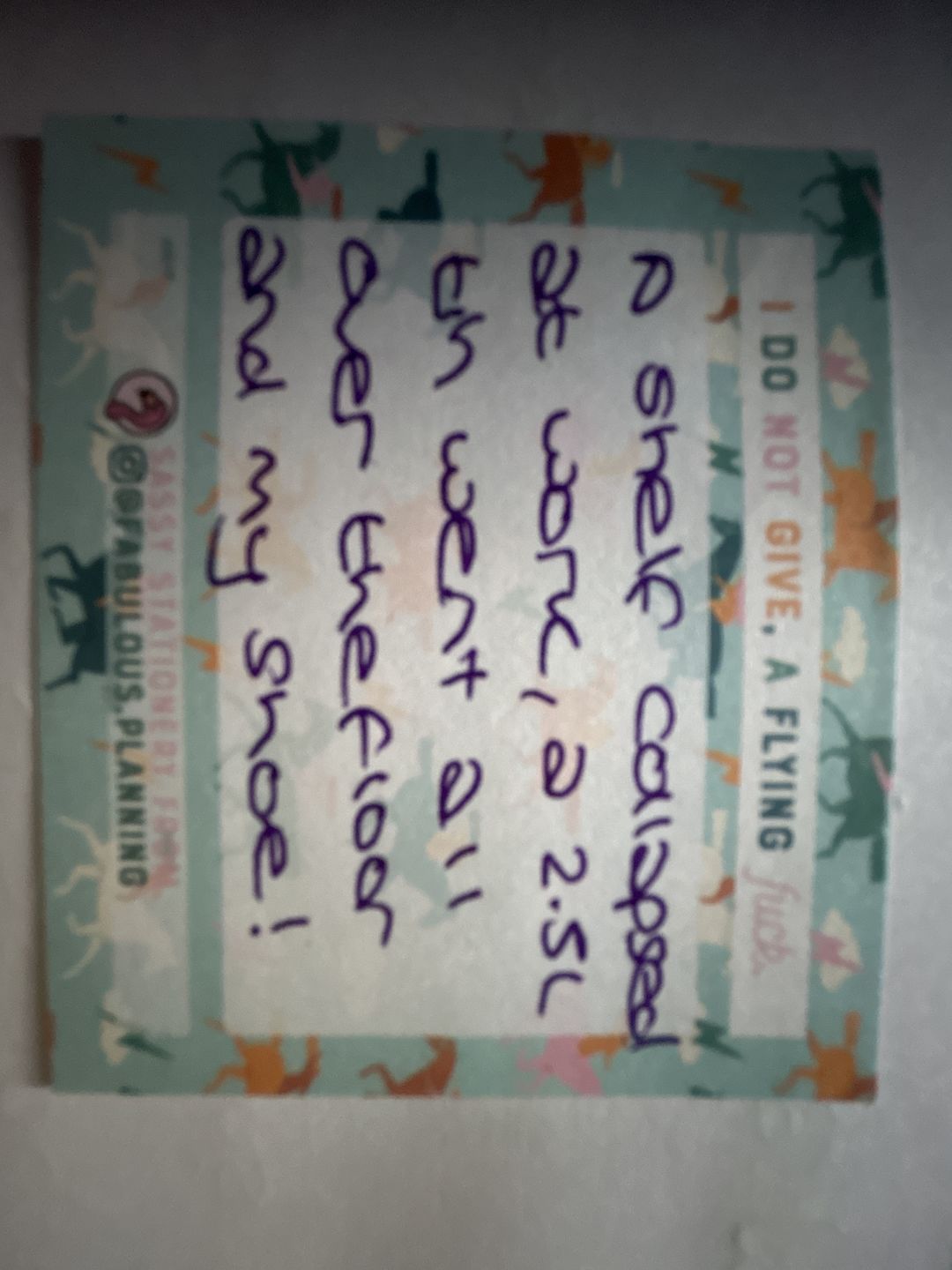 Customer photo review of Sassy Sticky Notes - Explicit Collection - Seconds