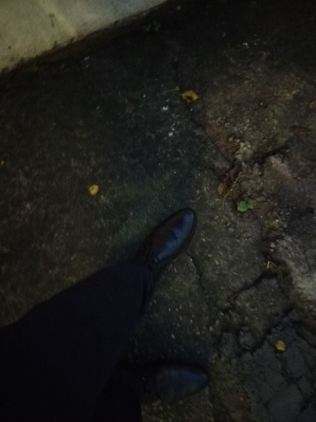Customer photo review of Bacca Bucci RICHMOND Formal Shoes with Superior Comfort | All Day Wear Office Or Party Lace-up Shoes