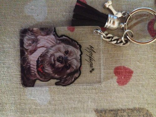 Customer photo review of Μπρελόκ με το Δικό σας Κατοικίδιο