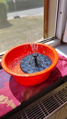 Customer photo review of Ma petit fontaine solaire