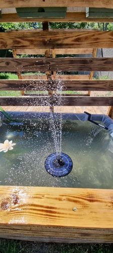 Customer photo review of Ma petit fontaine solaire