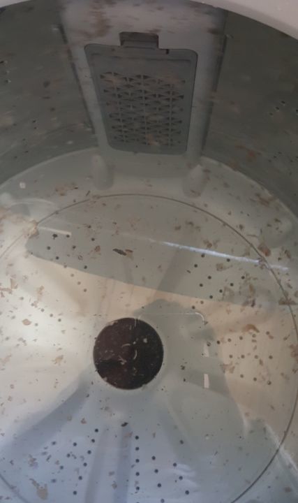 Customer photo review of Capsule Washer Cleaner