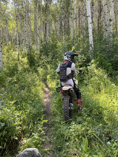 Customer photo review of THE PACK VEST