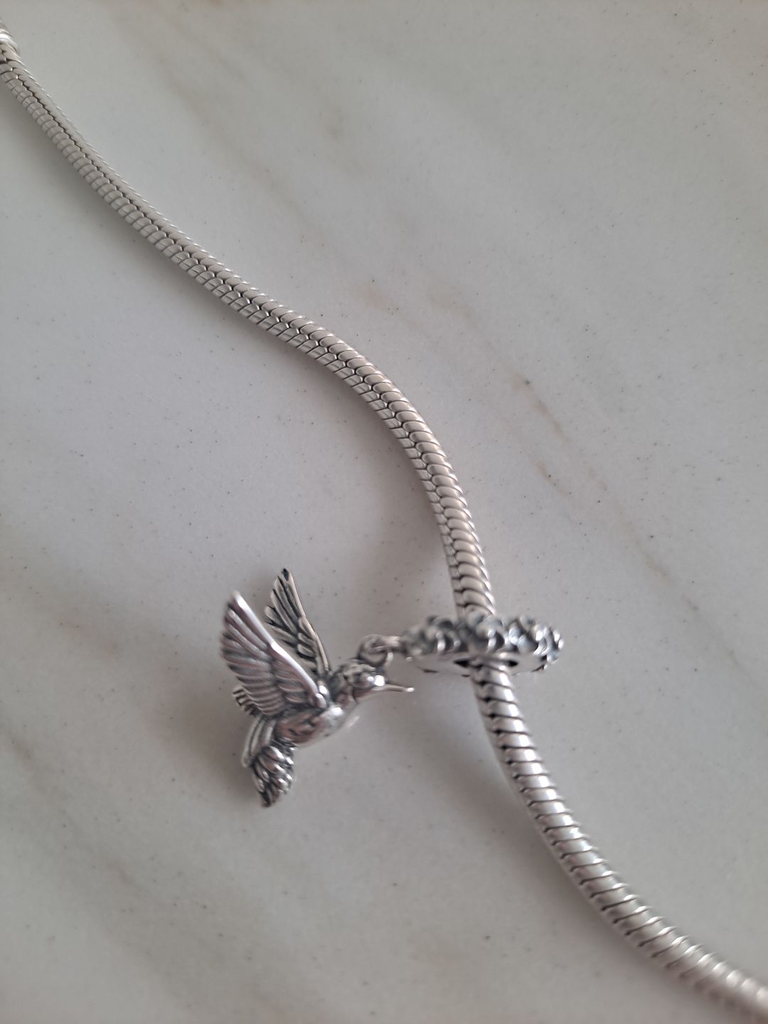 Customer photo review of Charm Colibri Mistico