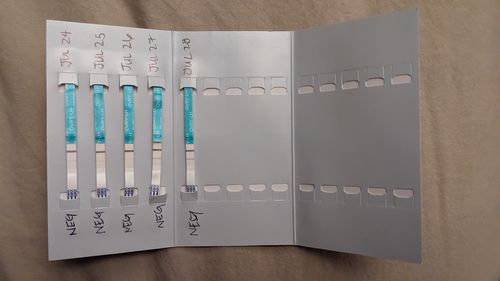 Customer photo review of Ovulation Test Strips