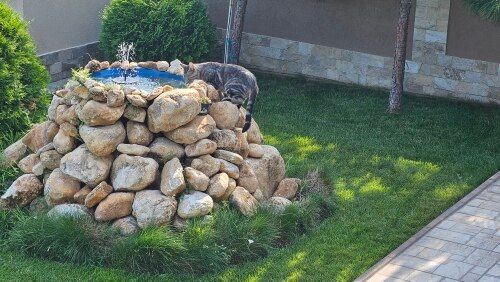 Customer photo review of Ma petit fontaine solaire
