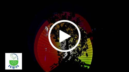 Customer video review of PlantWave