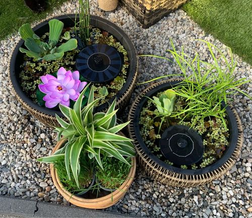 Customer photo review of Ma petit fontaine solaire