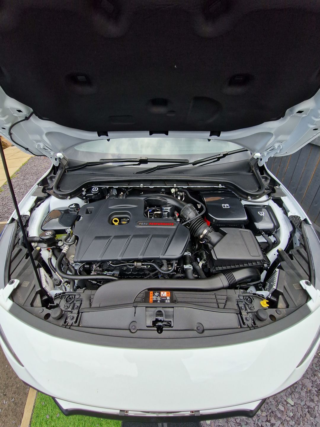 Customer photo review of Proform Dress Up Kit (various colours) - Mk4/4.5 Ford Focus
