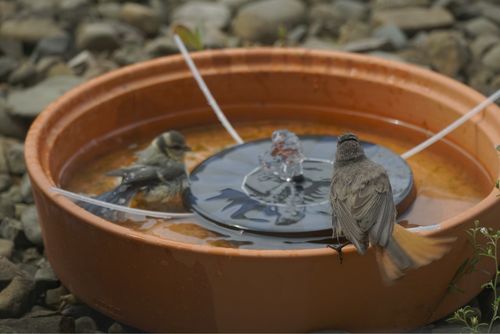 Customer photo review of Ma petit fontaine solaire