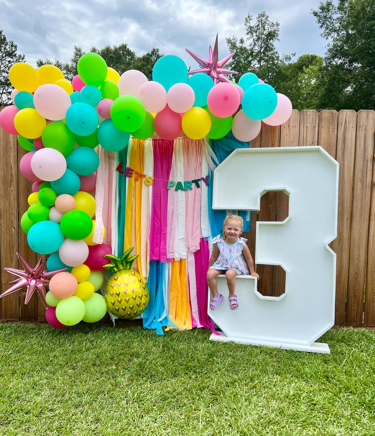 Customer photo review of Beach Ball Vibes Backdrop