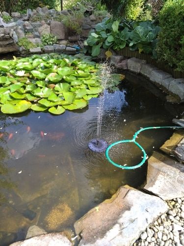 Customer photo review of Ma petit fontaine solaire