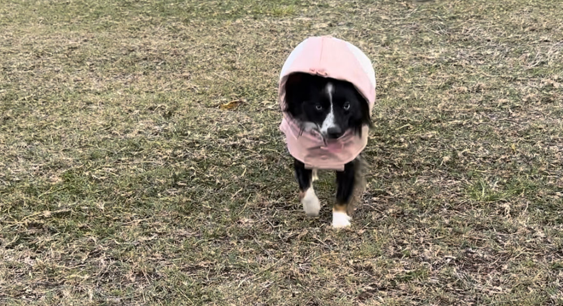 Customer photo review of Stormhunter Raincoat